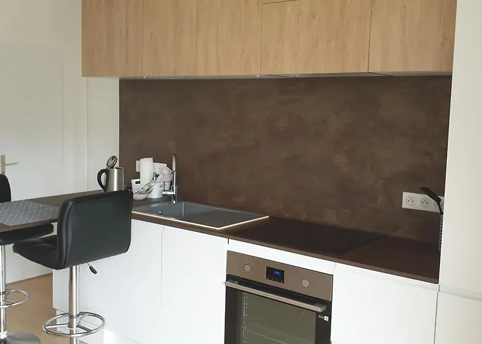 Cozy 2-room Apartment, 10 Min Walk To Tram For Geneva Gaillard